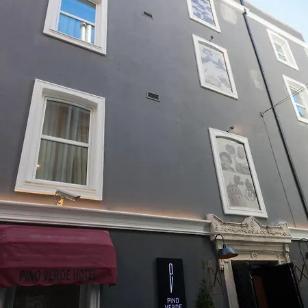 Hotel Pino Verde Hotel 3*